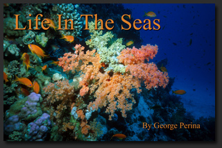 Buy the Life In The Seas book