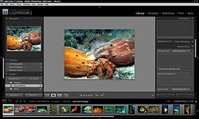 Adobe Lightroom